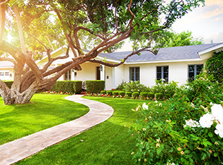 Left Home Insurance Image